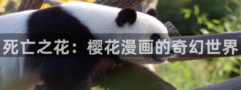 age专注动漫的门户网站