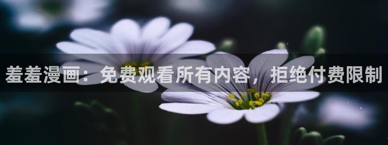 贝勒漫画下载网