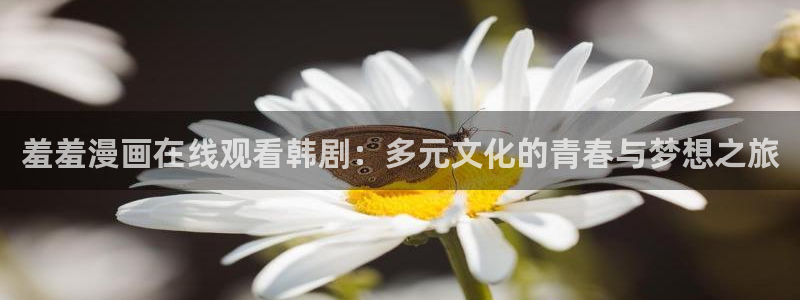 age樱花动漫