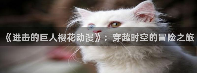 age专注动漫的门户网站
