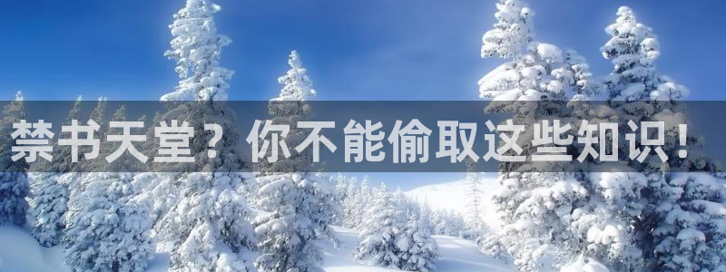 在线动画动漫下载贝勒漫画