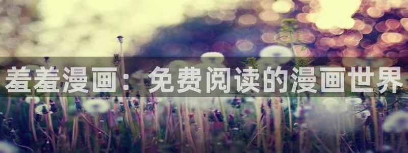 拷贝漫画 copymanager.ory网站