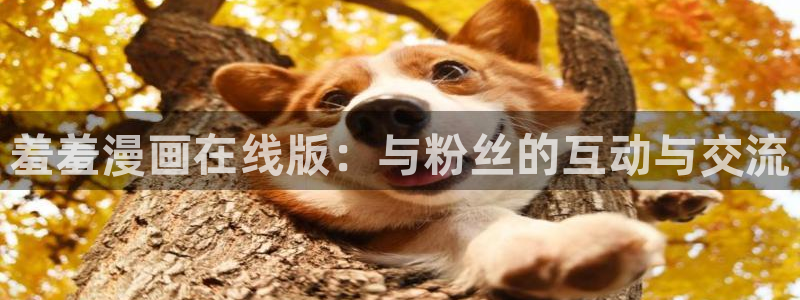 managereader漫画官网入口：羞羞漫画在线版：与粉丝的互动与交流