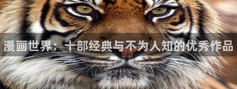 贝勒漫画下载：漫画世界：十部经典与不为人知的优秀作品